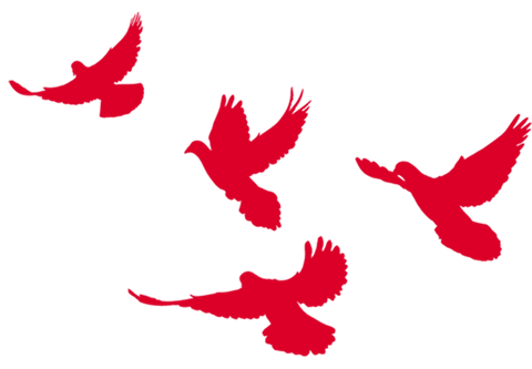 6.png